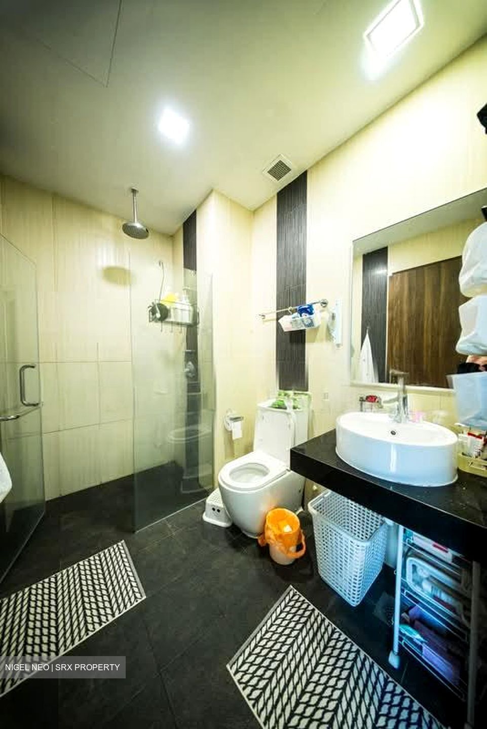 Cardiff Residence (D19), Condominium #583835191